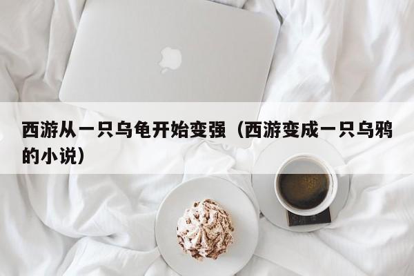 西游从一只乌龟开始变强（西游变成一只乌鸦的小说）