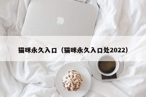 猫咪永久入口（猫咪永久入口处2022）